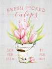 Fresh Picked Tulips Art Print