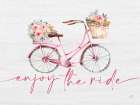Enjoy the Ride Art Print