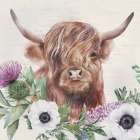 Penny the Highland Cow II Art Print