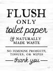 Flush Only Art Print