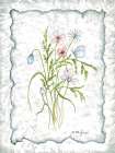 Pretty Pressed Flowers Art Print