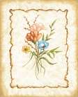 Pretty Flowers Art Print