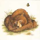 The Bear and the Butterfly Art Print
