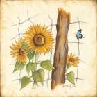 Fenceline Sunflowers Art Print