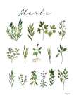 Herbs Art Print