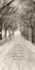 Winter Beauty Art Print