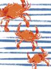 Crabs on Stripes Art Print