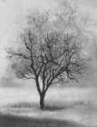 Lonely Art Print