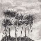 Sky Trees Art Print