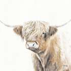 Soft and Neutral Highland Art Print