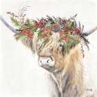 Dasher Christmas Highland Art Print