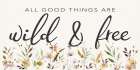 Wild And Free Art Print