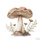 Mellow Mushroom Art Print