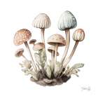 Mellow Mushrooms Art Print