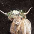 Christmas White Floral Highland Cow II Art Print