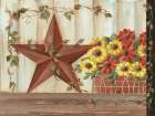 Barn Star Basket Art Print