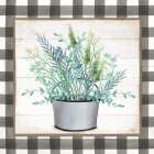 Potted Herbs II Art Print