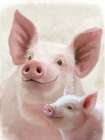 Piglet and Mom Art Print