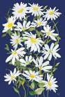 Dancing Daisies Art Print
