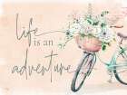 Life is an Adventure Art Print