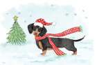 Christmas Dachshund Dog Art Print