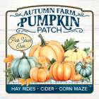 Autumn Farm Pumpkin Patch Art Print