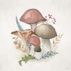 Mushroom Haven II Art Print