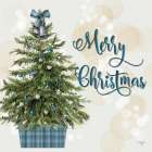Little Christmas Tree Art Print