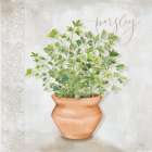 Parsley Art Print