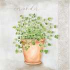 Coriander Minimalist Print