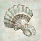 Seashells I Art Print