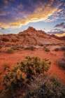 Sunset in the Valley of Fire Art Print