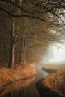 Bend in the Stream Art Print