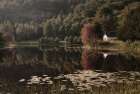 Cabin at the Lake Art Print
