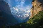 Majestic View II Art Print