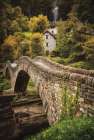 The Ancient Bridge Art Print