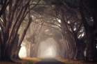 Alley of Dreams Art Print