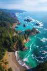 Oregon Coast Art Print