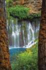 Burney Falls Art Print