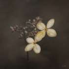 Side by Side Art Print