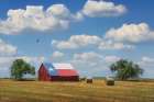 Lone Star Barn Art Print