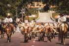 Longhorn Cattle March Art Print