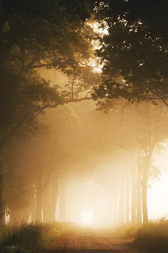 Sun-Kissed Fog I Gold Print