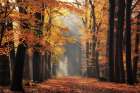Autumns Peak Art Print