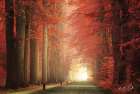 Way to Red Art Print