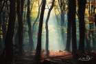 Forest Blues Art Print