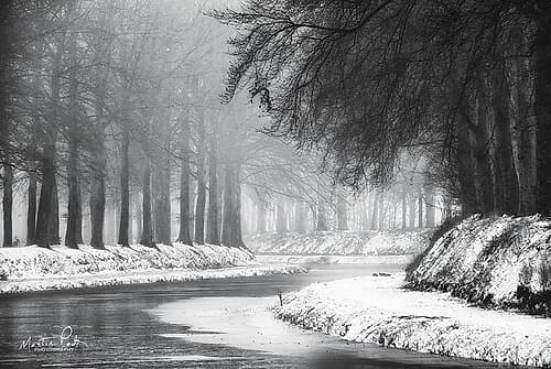 Winter River Nature Print