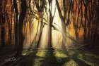 The Awakening Art Print