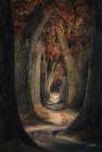 Same Old Path Art Print