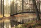 Bridge Over Troubled Waters Art Print
